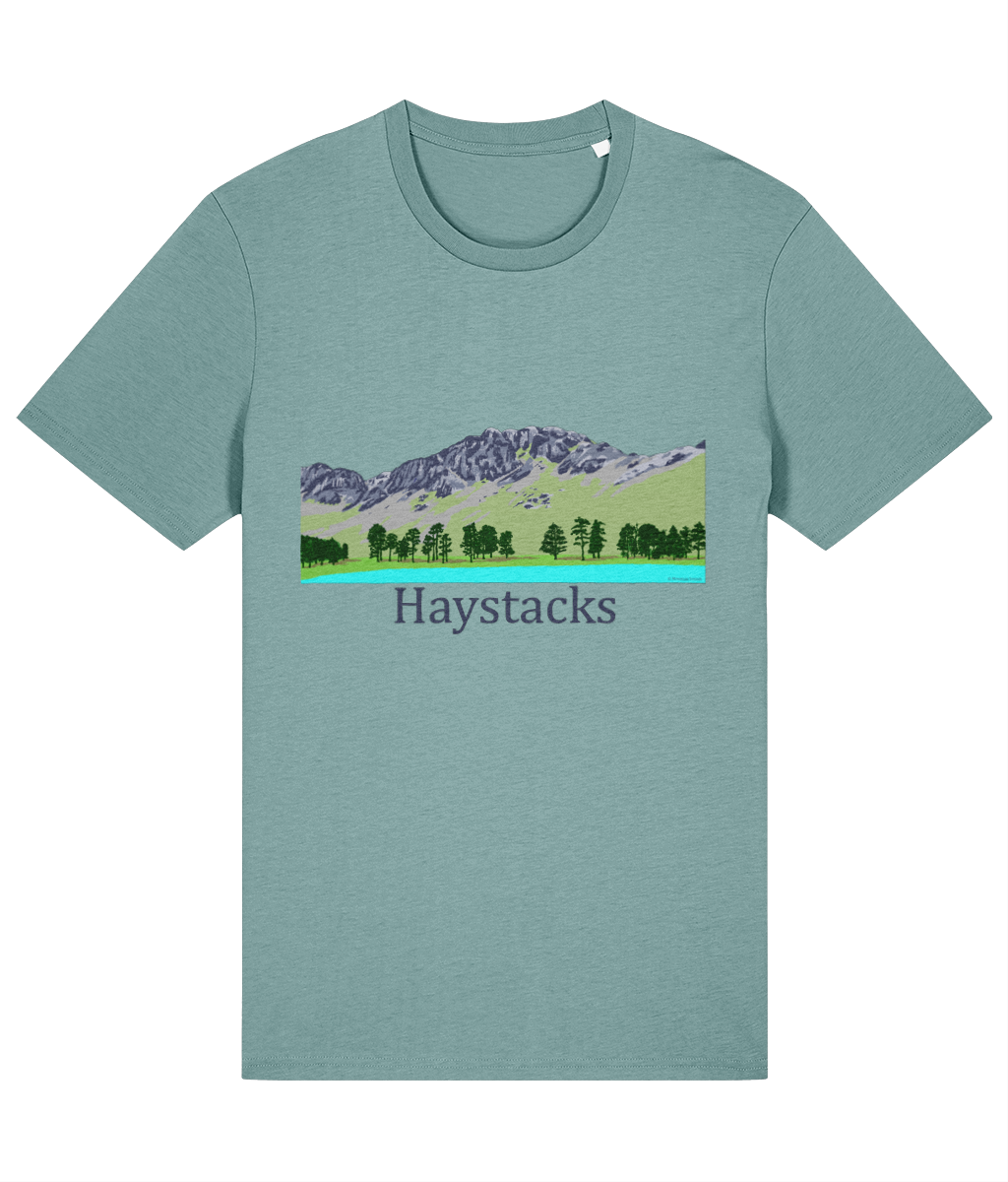 Lake District Men's T-Shirt Haystacks, Front, Teal Monstera