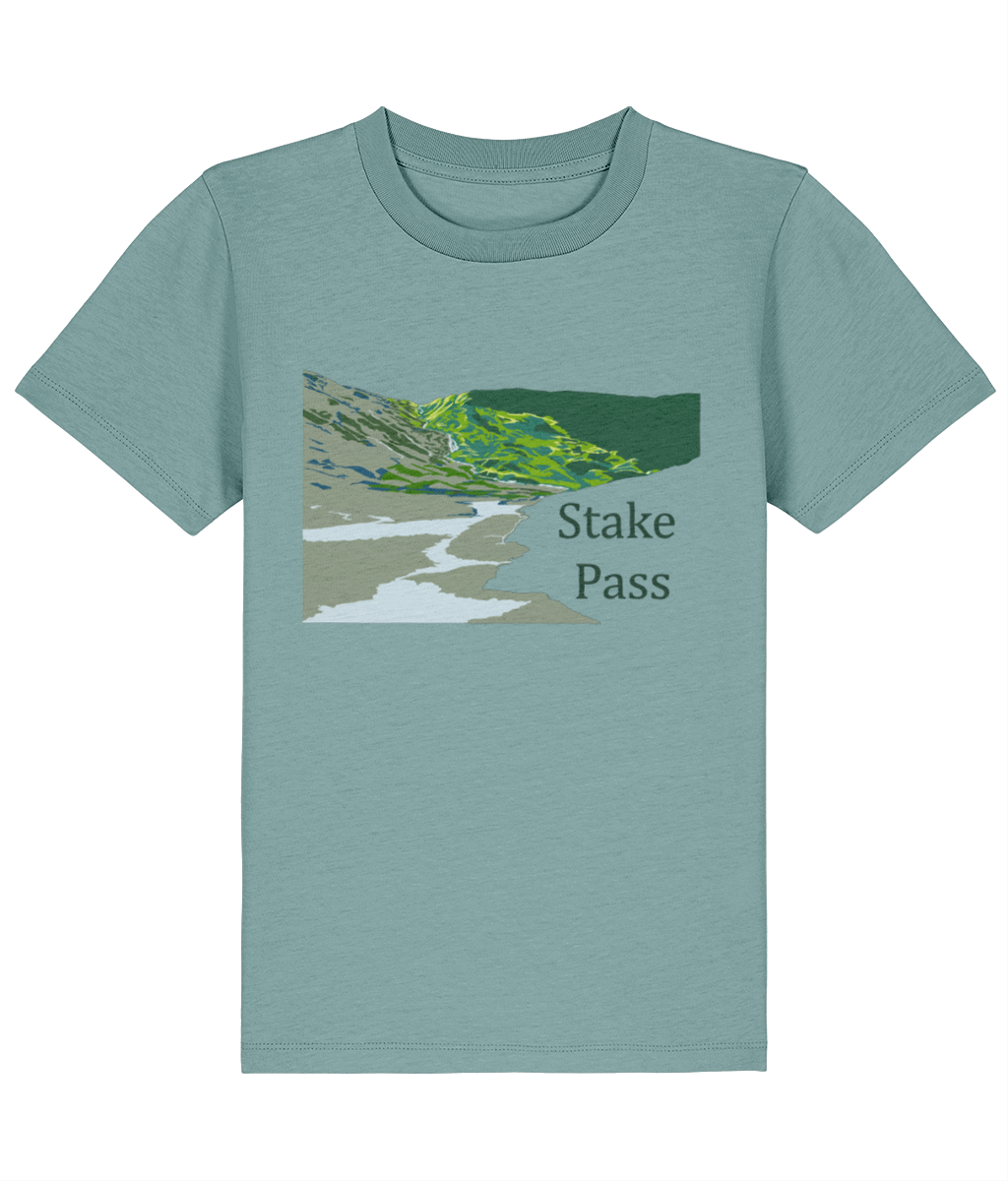 Lake District Kid's T-Shirt Stake Pass, Front, Teal Monstera