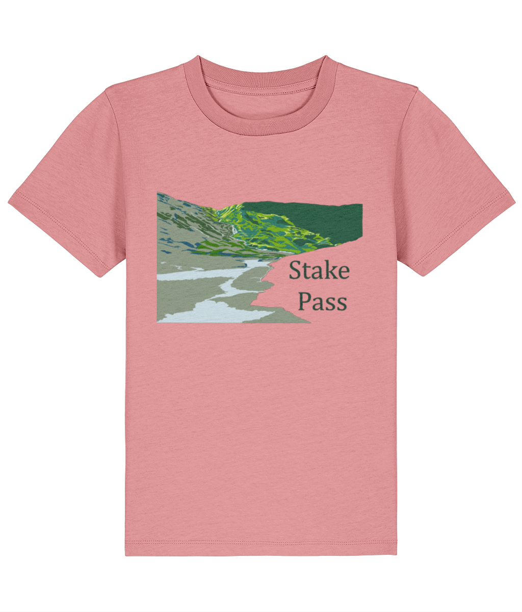 Lake District Kid's T-Shirt Stake Pass, Front, Pink Joy