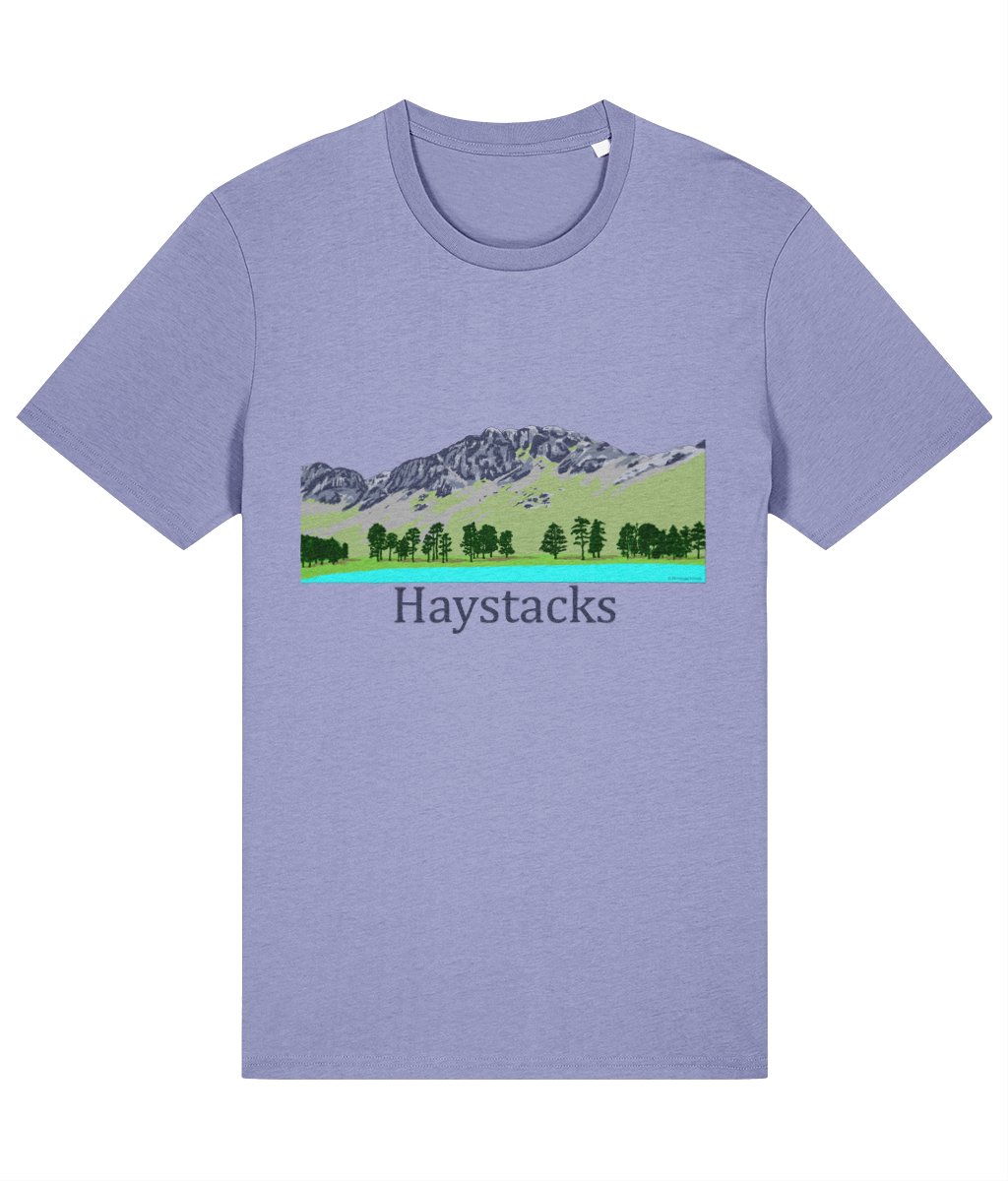 Lake District Men's T-Shirt Haystacks, Front, Violet